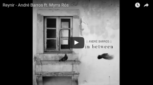 Reynir de André Barros