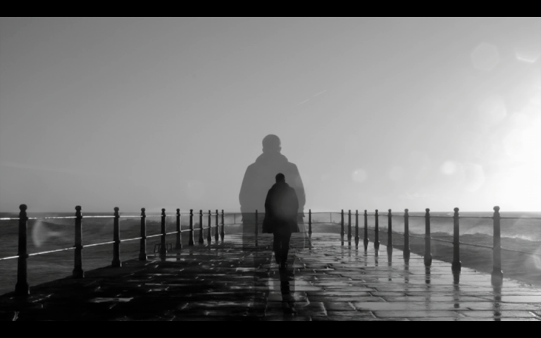 Gobi Bear en Vigo Gobi Bear en Ourense Gobi Bear en Bueu Gobi Bear en Vilagarcía de Arousa