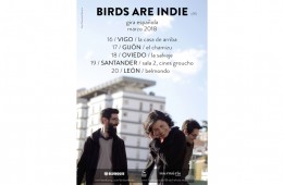 Birds Are Indie