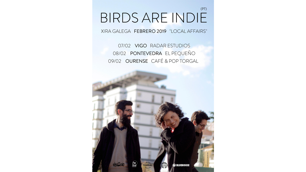 Birds are indie