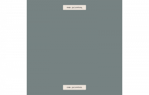 yo la tengo homem em catarse