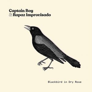 Blackbird in Dry Rose