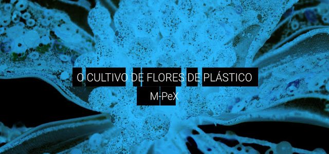 O cultivo de flores de plástico